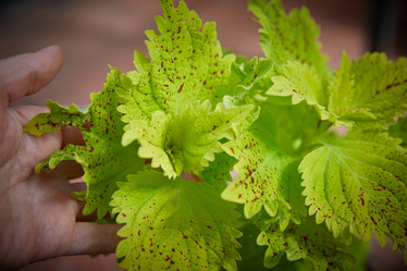 Similar image 22045892