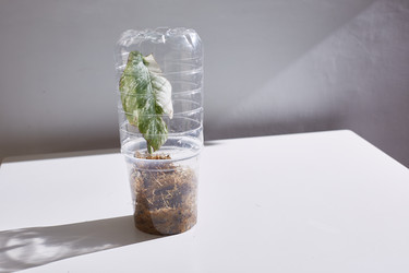 Similar image 22046176