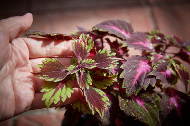 Similar image 22046177