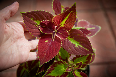 Similar image 22046178