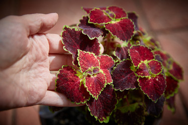 Similar image 22046184