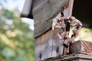 Similar image 22046185