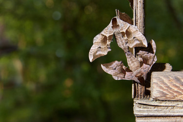 Similar image 22046186