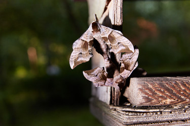 Similar image 22046188