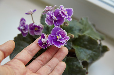 Similar image 22046189