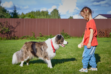 Similar image 22046198