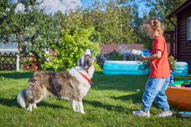 Similar image 22046202