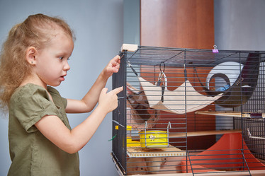 Similar image 22046208