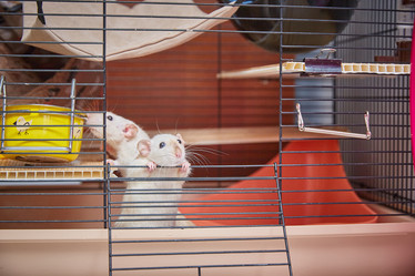 Similar image 22046209