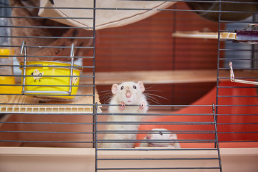 Similar image 22046211