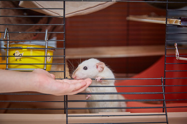 Similar image 22046212