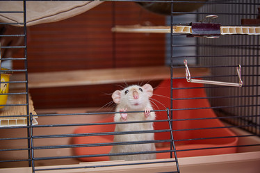 Similar image 22046213