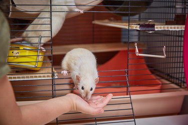 Similar image 22046217