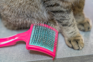 Similar image 22046221