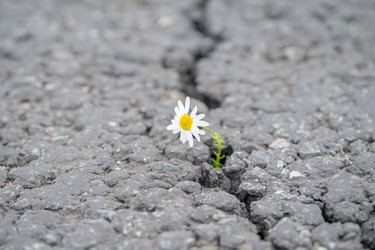 Similar image 22046223