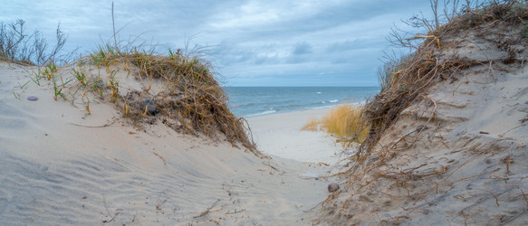 Similar image 22046226