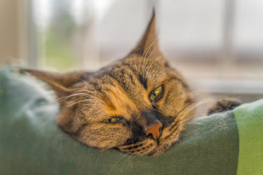 Similar image 22046228