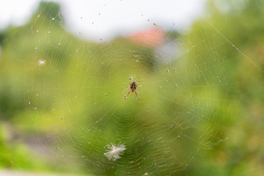 Similar image 22046229