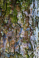 Similar image 22046236