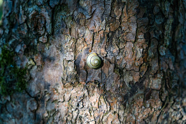 Similar image 22046237