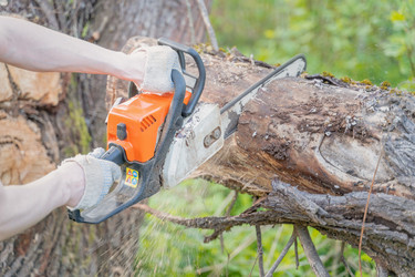 Similar image 22046238