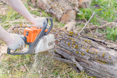 Similar image 22046239