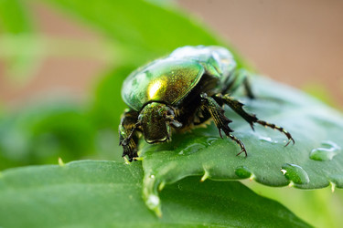 Similar image 22046443