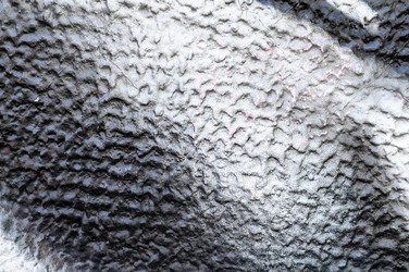 Similar image 22046449