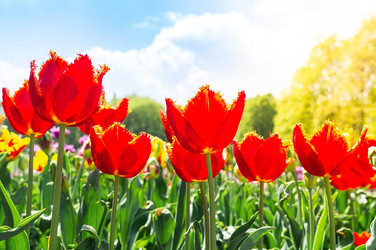 Similar image 22046451