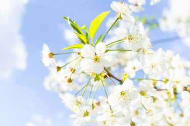 Similar image 22046453