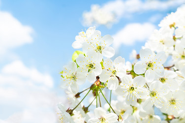 Similar image 22046455