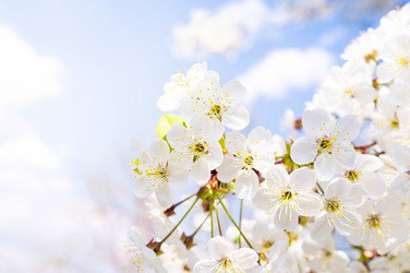 Similar image 22046456