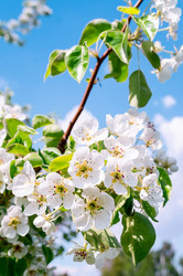 Similar image 22046461