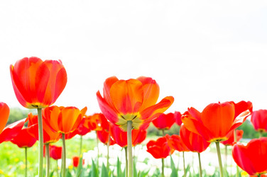 Similar image 22046473