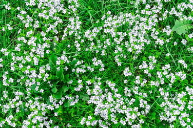 Similar image 22046475