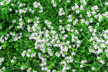 Similar image 22046476