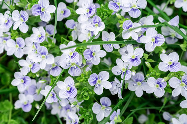 Similar image 22046478