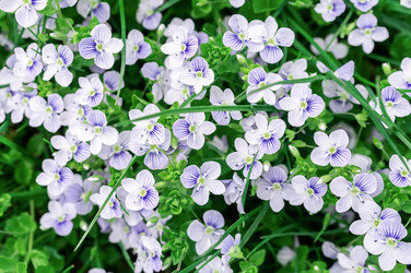 Similar image 22046480