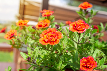 Similar image 22046487