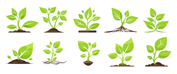 Similar image 22052904