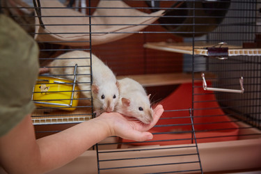 Similar image 22045906