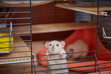 Similar image 22046266