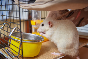 Similar image 22046268