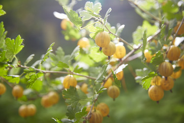 Similar image 22046269