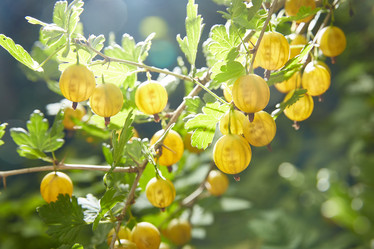 Similar image 22046270