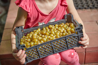 Similar image 22046272