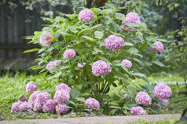 Similar image 22046275