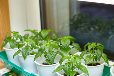 Similar image 22046280