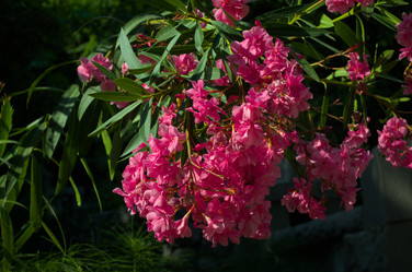 Similar image 22050017