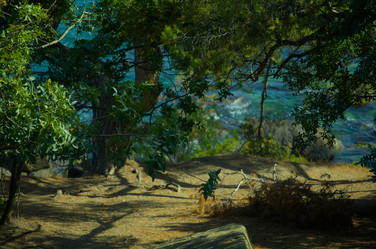 Similar image 22050018